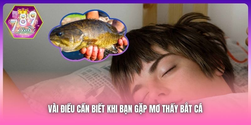 Vài điều cần biết khi bạn gặp mơ thấy bắt cá 